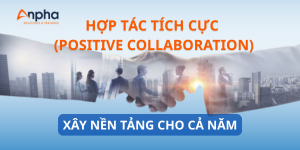 Tin tức (7)